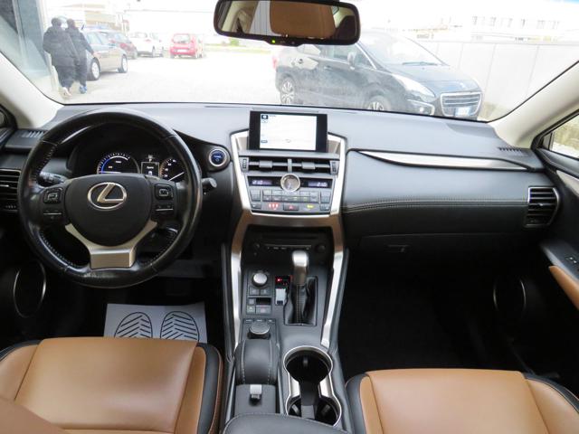 LEXUS NX 300 usata, con Fendinebbia
