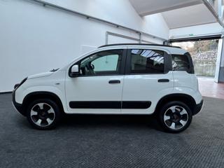 FIAT Panda Cross usata, con Climatizzatore