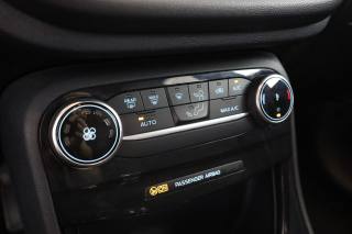 FORD Puma usata 11