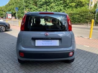 FIAT Panda usata, con Airbag Passeggero
