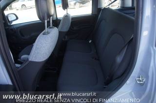 FIAT Panda usata 7