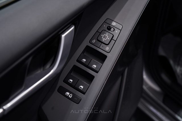 KIA e-Niro usata, con Cruise Control