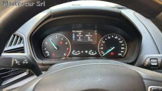 FORD EcoSport usata, con Fendinebbia