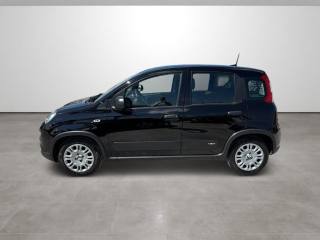 FIAT Panda usata, con Climatizzatore