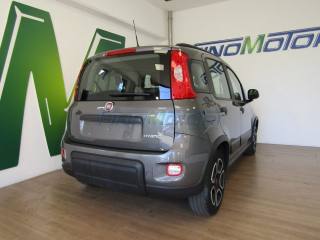 FIAT New Panda usata, con Servosterzo
