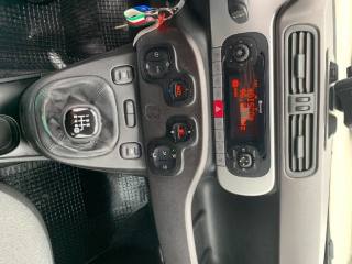 FIAT Panda Cross usata, con Cronologia tagliandi