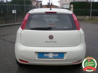 FIAT Punto usata, con ESP