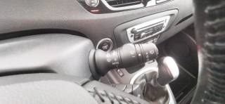 RENAULT Scenic usata 41