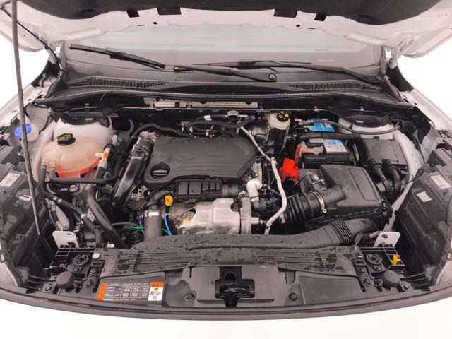 FORD Kuga usata, con Sensore di luce