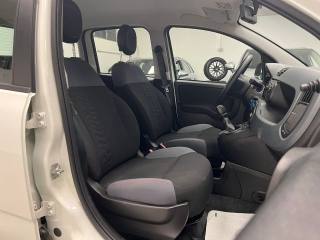FIAT Panda usata, con Cronologia tagliandi