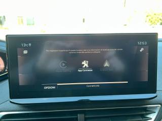 PEUGEOT 3008 usata 24