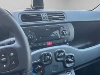 FIAT Panda usata, con Airbag testa