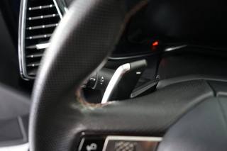 DS AUTOMOBILES DS 7 usata 49