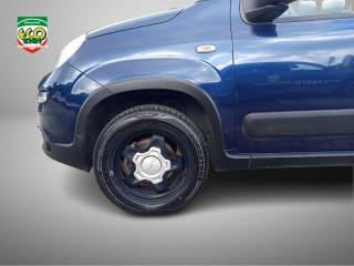 FIAT Panda Cross usata, con Airbag testa