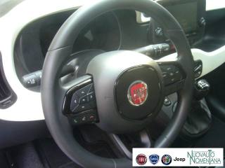 FIAT Pandina usata, con Volante multifunzione