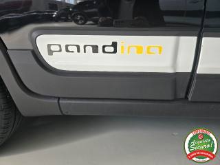 FIAT Panda usata 25