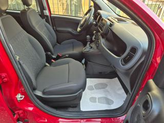 FIAT Pandina usata, con Cruise Control