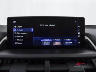 LEXUS NX 300h usata 13