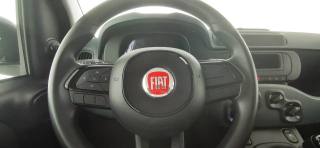 FIAT Panda usata 40