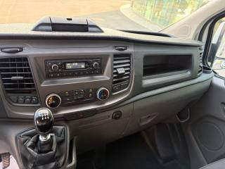 FORD Transit Custom usata, con Autoradio digitale
