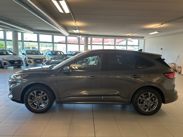 FORD Kuga usata, con Airbag Passeggero