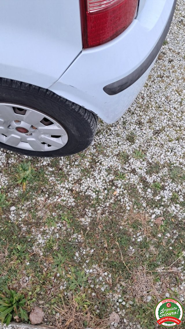 FIAT Panda usata, con Immobilizzatore elettronico