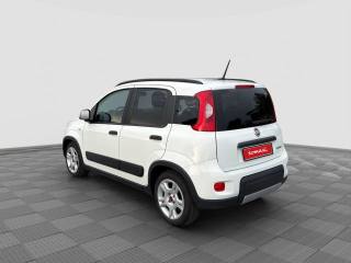 FIAT Panda usata 2