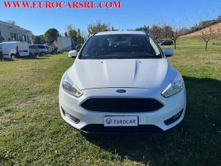 FORD Focus usata, con Airbag