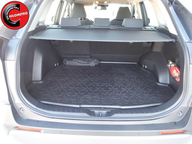 TOYOTA RAV 4 MY23 usata, con Chiusura centralizzata