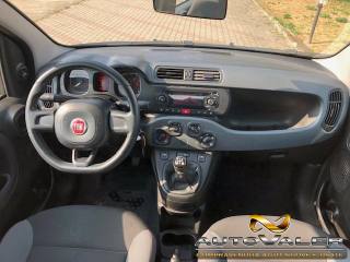FIAT Panda usata, con Climatizzatore