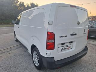 PEUGEOT Expert usata 18