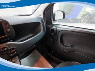 FIAT Panda Cross usata, con Controllo trazione
