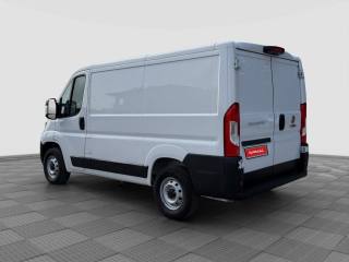 FIAT Ducato usata 3