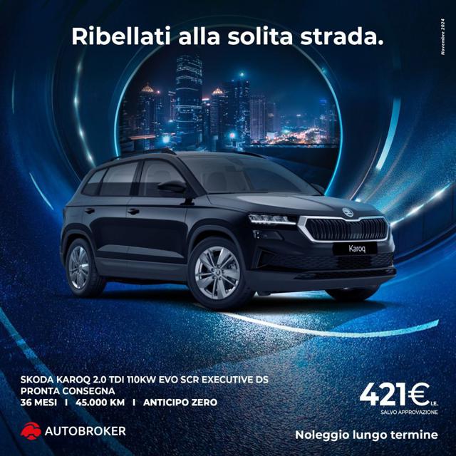 SKODA Karoq usata, con ABS