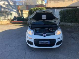 FIAT Panda usata 18