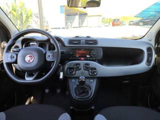 FIAT Panda usata 5