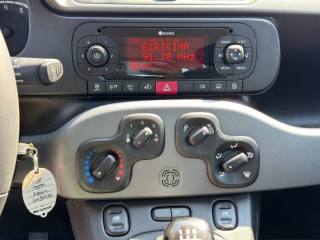 FIAT Panda usata 15