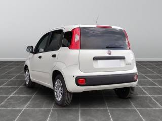 FIAT Panda usata, con Airbag Passeggero
