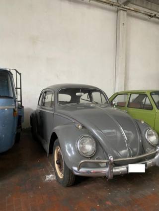 VOLKSWAGEN Maggiolone usata 1