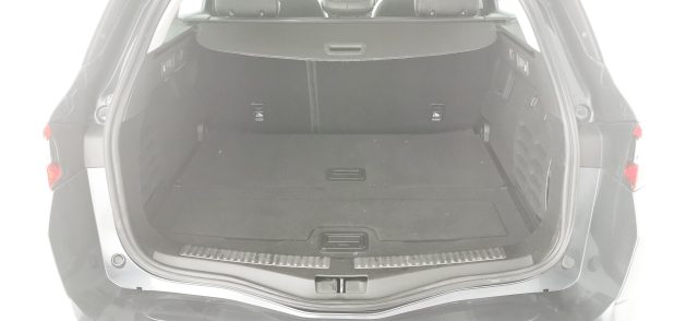 RENAULT Megane usata, con Immobilizzatore elettronico