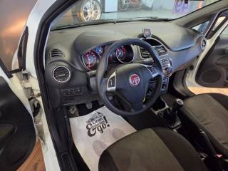FIAT Punto usata, con Fendinebbia