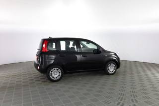 FIAT Panda usata 2