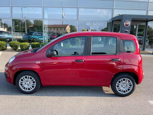 FIAT Panda usata, con Alzacristalli elettrici