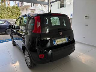 FIAT Panda usata, con Chiusura centralizzata