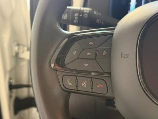 FIAT Panda Cross usata, con Servosterzo