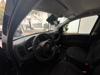 FIAT Panda usata, con Luci diurne