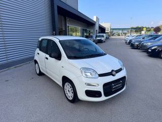 FIAT Panda usata, con Airbag Passeggero