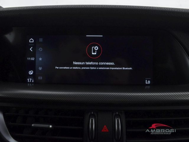 ALFA ROMEO Stelvio usata 14