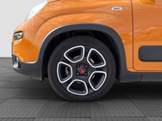 FIAT Panda usata 15