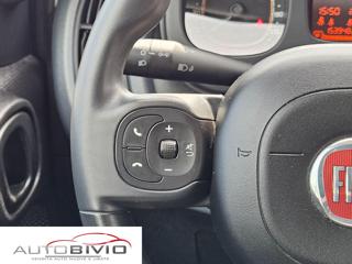FIAT Panda usata 22